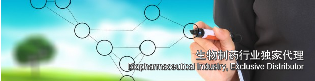 Sterling &ndash; Premium Website Template