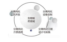 专业纯化解决方案